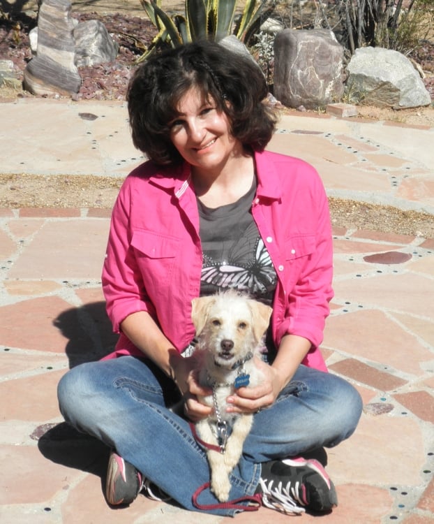 The Wolf Whisperer Dog Training & Boarding - pet boarding facility in Tucson, AZ