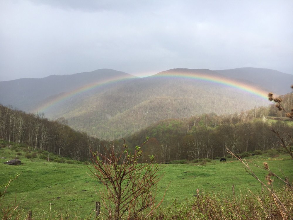 CANAAN REALTY Updated June 2024 11 Reviews 25 Mirror Lake Dr, Davis, West Virginia Real