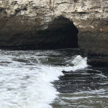 Natural Bridges State Beach - Beaches Near Me - Santa Cruz, California Natural Bridges State Beach - Beaches Near Me - Santa Cruz, California
