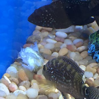 Pet Supplies Plus Golden - Pet Stores Near Me - Golden, Colorado Pet Supplies Plus Golden - Pet Stores Near Me - Golden, Colorado
