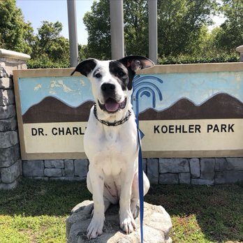 OffLeash SoCal - Codi showing off her "place" command at a local park - Pet Training Near Me - Santa Monica, California OffLeash SoCal - Codi showing off her "place" command at a local park - Pet Training Near Me - Santa Monica, California