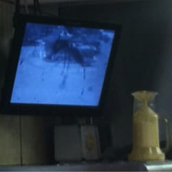 McDonald's - Wasps or flies swarming security cameras.