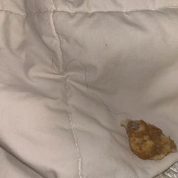 Wendys - Long nasty hair in my food
