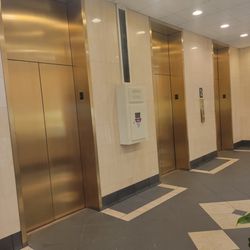 Ann George Studios - Golden Elevators at the Blackstone are gone now, and so am I. Come visit on Zoom please.