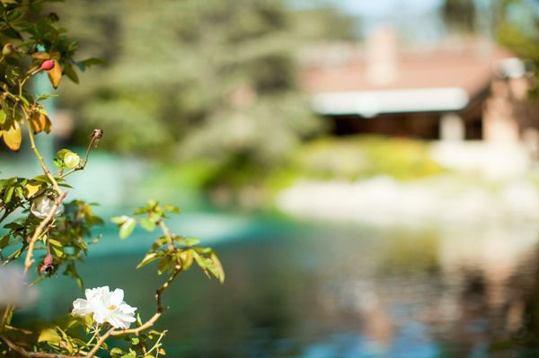 Grace E. Simons Lodge by null