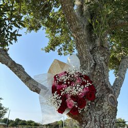 Steven L Josias Dog Park - Daughter delivered flowers to me at the dog park on Mother's Day