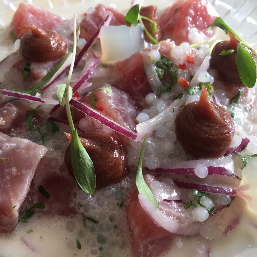 A Cevicheria - Tuna Ceviche - Gastropubs Near Me - Lisbon, 11