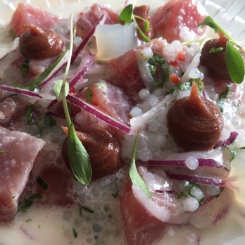 A Cevicheria - Tuna Ceviche - Gastropubs Near Me - Lisbon, 11 A Cevicheria - Tuna Ceviche - Gastropubs Near Me - Lisbon, 11