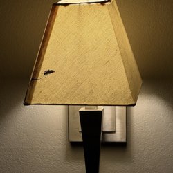 Candlewood Suites Harrisburg - Hershey - Dirty lamp shade