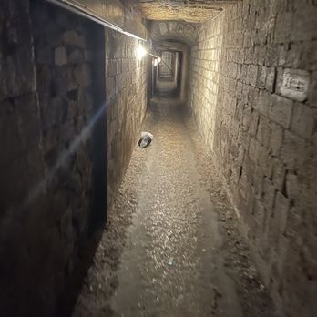 Les Catacombes de Paris - Local Flavor Near Me - Paris, 75 Les Catacombes de Paris - Local Flavor Near Me - Paris, 75