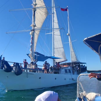 Tallship Island Adventures - Travel Services Near Me - Main Beach, QLD