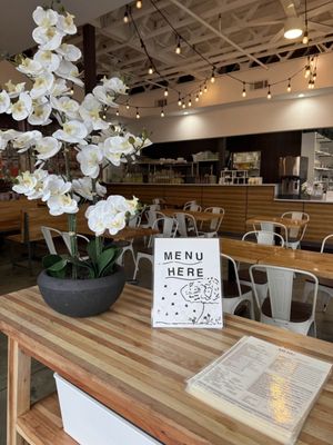 Sweet Octopus by null