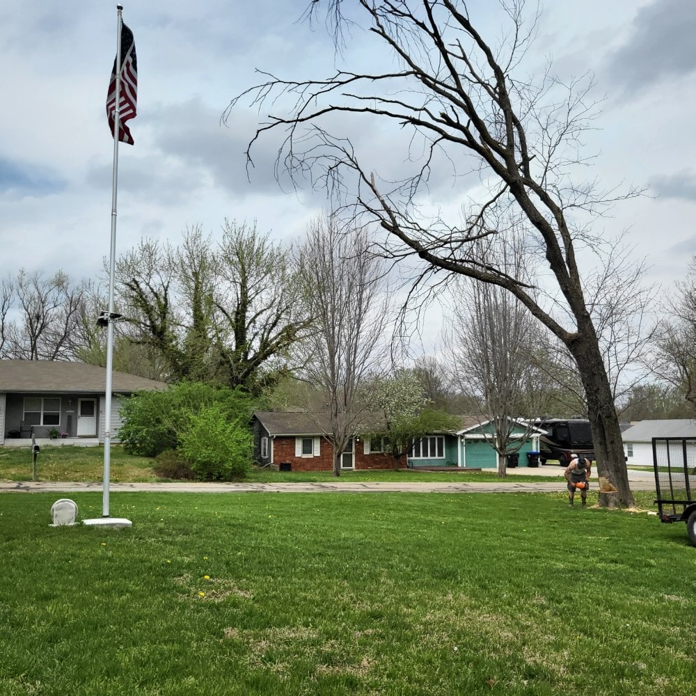 Dj's Tree Expert - tree service in Topeka, KS