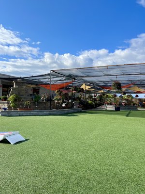 Blüm Coffee Garden by null