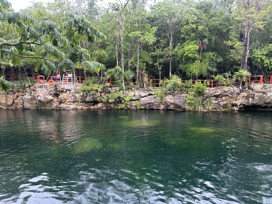 Cenote Tortuga by null
