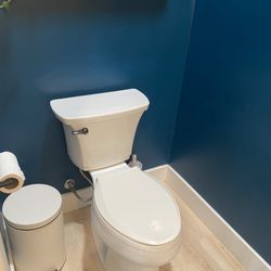 Professional Mold Inspections - Testing for water leaks behind toilets and around shower stalls.