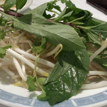 Viet's Pho - Little bit of veggie matter for dressing up the pho. - Vietnamese Near Me - Albuquerque, New Mexico Viet's Pho - Little bit of veggie matter for dressing up the pho. - Vietnamese Near Me - Albuquerque, New Mexico