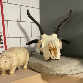 ACME Meat Market - a bull skull and a rhino skull - Meat Shops Near Me - Edmonton, Alberta ACME Meat Market - a bull skull and a rhino skull - Meat Shops Near Me - Edmonton, Alberta