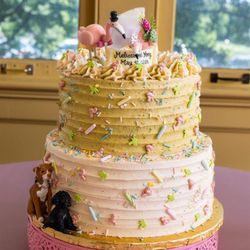Midnite Confection's Cupcakery