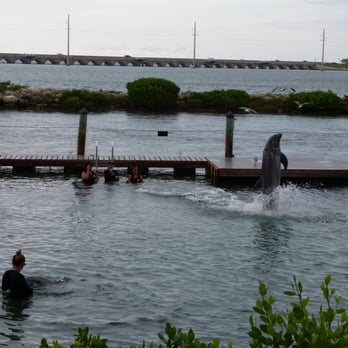 Hawks Cay Resort - Dolphin experience - Resorts Near Me - Duck Key, Florida Hawks Cay Resort - Dolphin experience - Resorts Near Me - Duck Key, Florida