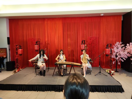 The Shops at Skyview by null