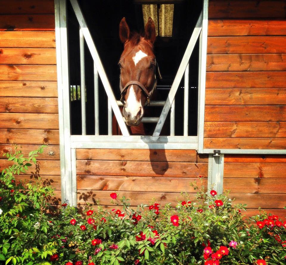 LIGARA FARMS Updated September 2024 35 Photos & 13 Reviews 1690