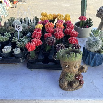 Maclin Open Air Shops - 10/6/24 - Flea Markets Near Me - Ontario, California Maclin Open Air Shops - 10/6/24 - Flea Markets Near Me - Ontario, California