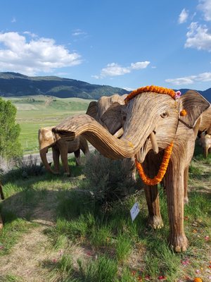 National Museum of Wildlife Art by null
