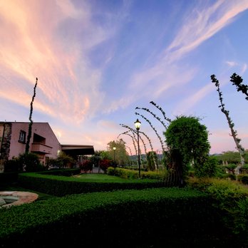 Peju Winery - Sunset in early Spring. - Wine Tasting Room Near Me - Rutherford, California