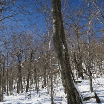 Monadnock State Park - Hiking Near Me - Jaffrey, New Hampshire