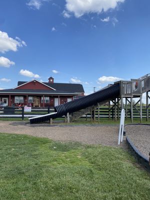 Chaney's Dairy Barn by null