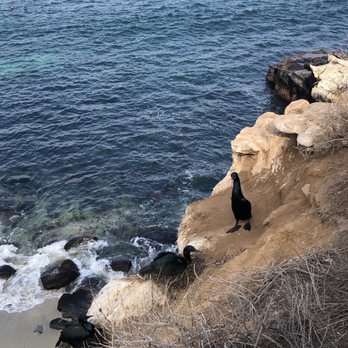 La Jolla Cove - Parks Near Me - La Jolla, California