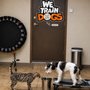 Off Leash K9 Training