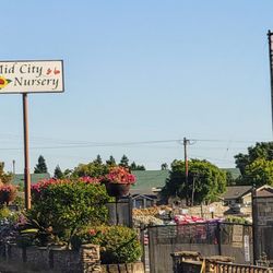 Mid City Nursery - View from Highway 29