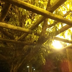 Akuaba - Cobertura da área externa - Copa de árvore,  dá um clima super legal