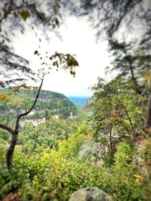 Cloudland Canyon State Park by null