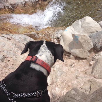 Big Falls - Nawla livin' on the edge. - Hiking Near Me - Forest Falls, California Big Falls - Nawla livin' on the edge. - Hiking Near Me - Forest Falls, California