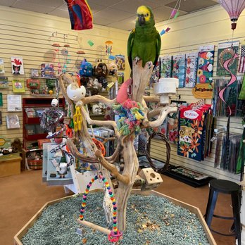 The Bird Store and More - Come and meet Rae! - Bird Shops Near Me - Fairlawn, Ohio