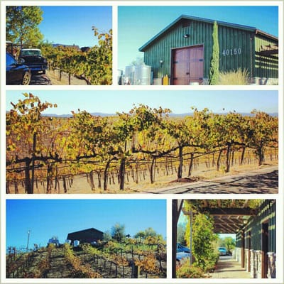 Palumbo Family Vineyard by null