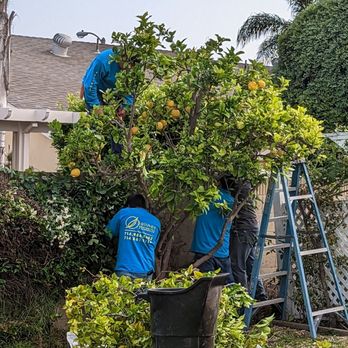 Salinas Landscaping - Landscaping Near Me Salinas Landscaping - Landscaping Near Me