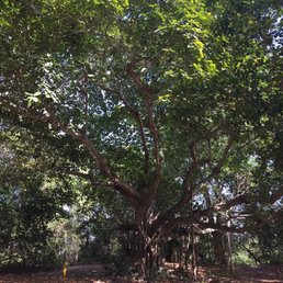 NMB's finest park is a hidden gem! NMB's finest park is a hidden gem!