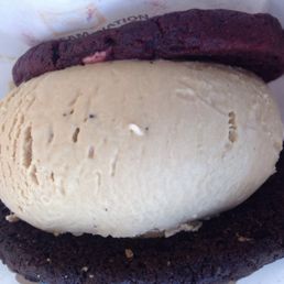 Double Chocolate Chip Cookie