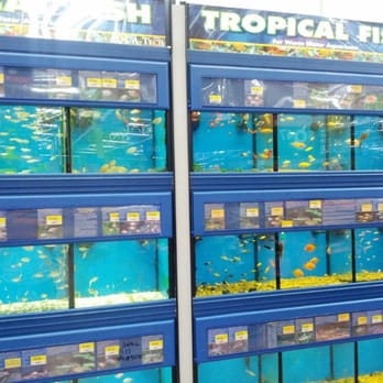 Walmart Supercenter - They sell tropical fish here! - Department Stores Near Me - Front Royal, Virginia