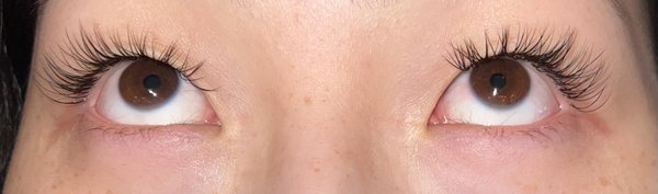 Glam Lash Extension by null