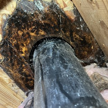 All American Water Restoration - Mold under the toilet from crawl space - Damage Restoration Near Me All American Water Restoration - Mold under the toilet from crawl space - Damage Restoration Near Me