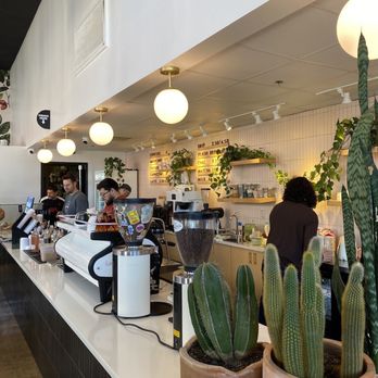 Early Bird Coffee - Coffee & Tea Near Me - San Antonio, Texas Early Bird Coffee - Coffee & Tea Near Me - San Antonio, Texas