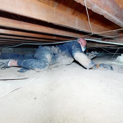 Trident Inspection Group - Did you know that you should go into your crawlspace annually