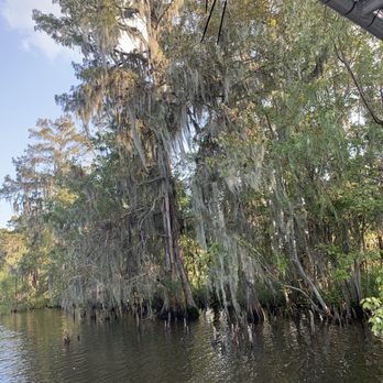 Ultimate Swamp Adventures - Tours Near Me - Westwego, Louisiana