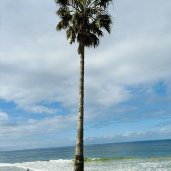 Doheny State Beach - Beaches Near Me - Dana Point, California