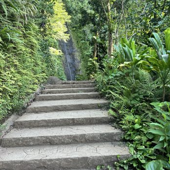Mānoa Falls Trail - Hiking Near Me - Honolulu, Hawaii